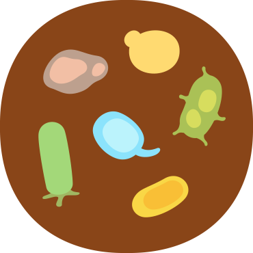 微生物栽培